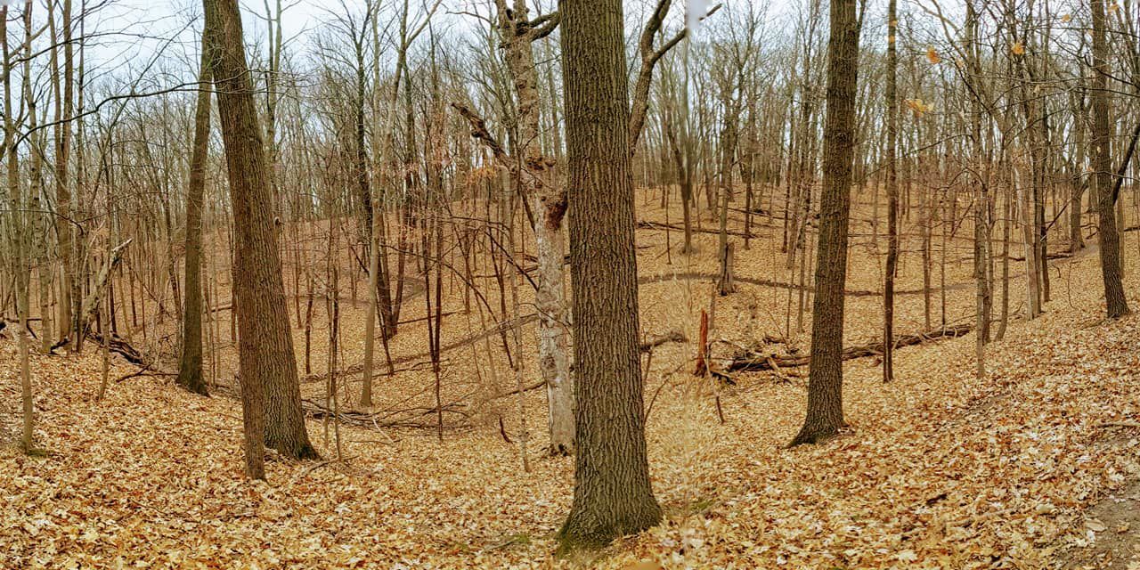 Overview of the trails
